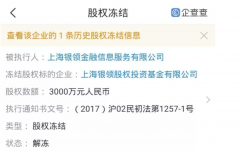 <b>因合同纠纷银领基金旗下两公司股权被冻结 身后暗藏海银系身影</b>